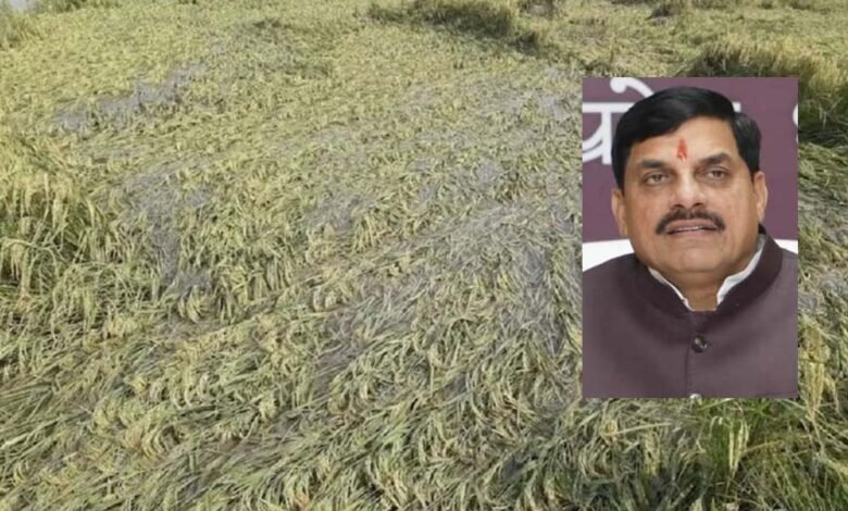 एमपी-के-25-जिलों-में-बारिश-से-फसलें-बर्बाद,-सीएम-मोहन-ने-दिए-तत्काल-राहत-के-निर्देश