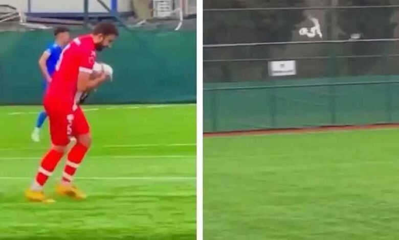 लाइव-मैच-में-पक्षी-को-लगी-गेंद,-खिलाड़ी-ने-दिया-cpr,-बच-गई-जान,-वीडियो-वायरल