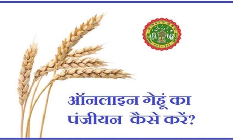 4-लाख-42-हजार-से-अधिक-किसानों-ने-समर्थन-मूल्य-पर-गेहूँ-उपार्जन-के-लिये-कराया-पंजीयन
