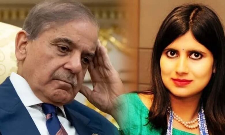 भारत-ने-un-में-खुली-पाकिस्तान-की-पोल,-कहा–-हमारा-कश्मीर-बजट-imf-कर्ज-से-भी-दोगुना