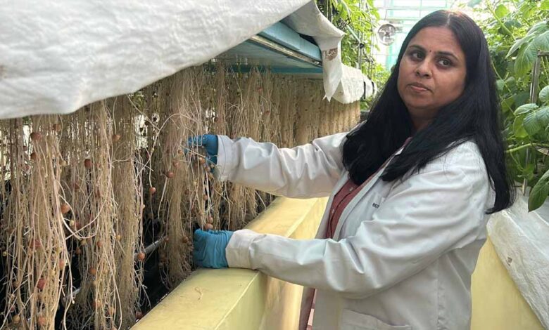 ग्वालियर-के-वैज्ञानिकों-ने-हवा-में-उगाया-आलू,-1kg-बीज-से-400-किलो-आलू,-बीमारी-मुक्त-खेती-की-सफलता