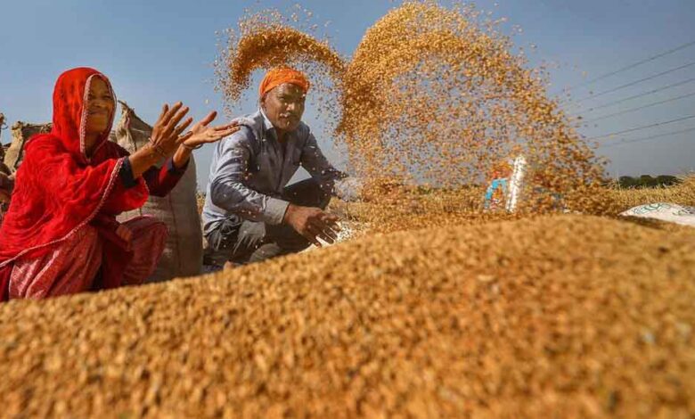 20-हजार-से-अधिक-किसानों-ने-समर्थन-मूल्य-पर-गेहूँ-उपार्जन-के-लिये-कराया-पंजीयन-:-मंत्री-राजपूत