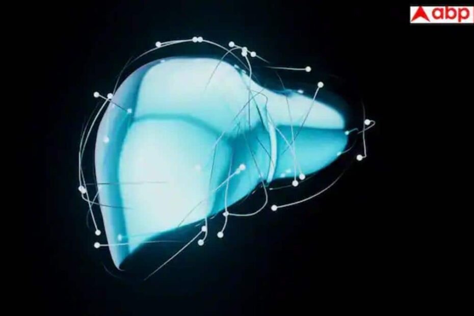 fatty-liver-disease:-सिर्फ-शराब-ही-नहीं,-आपकी-खराब-लाइफस्टाइल-भी-बना-रही-है-लिवर-को-बीमार;-जानें-कैसे-बचें?