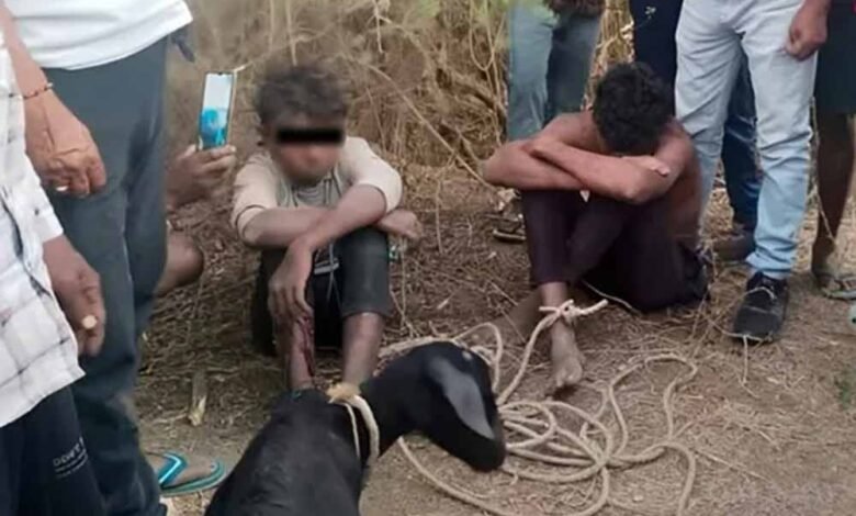 ओडिशा-में-‘कंगारू-कोर्ट’-का-कहर:-बकरी-चोरी-के-शक-में-9वीं-के-छात्र-की-पीट-पीटकर-हत्या