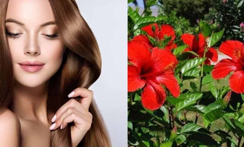 खूबसूरत-त्वचा-और-घने-बालों-का-प्राकृतिक-मंत्र:-गुड़हल-के-चमत्कारी-फायदे