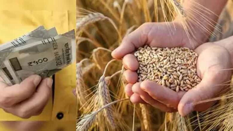 एमपी-में-गेहूं-खरीदी-का-बड़ा-ऐलान:-2585-रुपये-msp,-किसानों-के-लिए-जरूरी-निर्देश-जारी