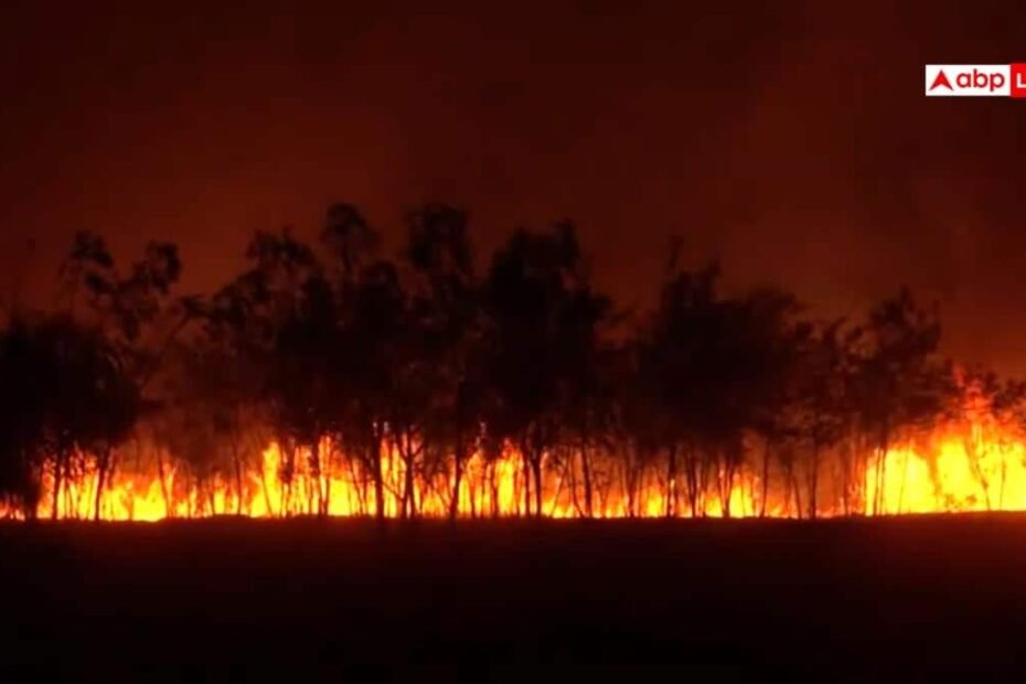 indore-airport-fire:-इंदौर-एयरपोर्ट-परिसर-में-आग,-बुझाने-पहुंची-फायर-डिपार्टमेंट-की-टीम 