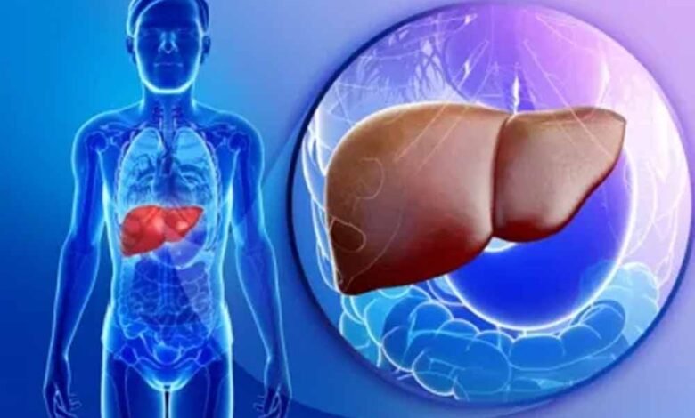 एंटीबायोटिक्स-से-पहले-ही-मिल-जाएगा-लिवर-फेलियर-का-संकेत,-वैज्ञानिकों-का-बड़ा-खुलासा