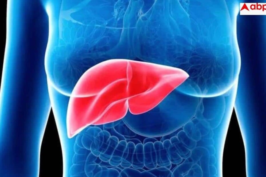 fatty-liver-disease:-लगातार-बढ़-रहे-फैटी-लिवर-के-मामले,-कहीं-आप-भी-तो-नहीं-कर-रहे-ये-8-गलतियां?