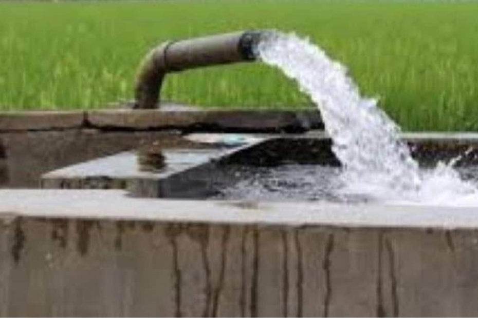 punjab:-खेत-में-पानी-लगाने-गए-नौजवान-की-करंट-लगने-से-मौत,-परिवार-का-इकलौता-बेटा-था-शख्स