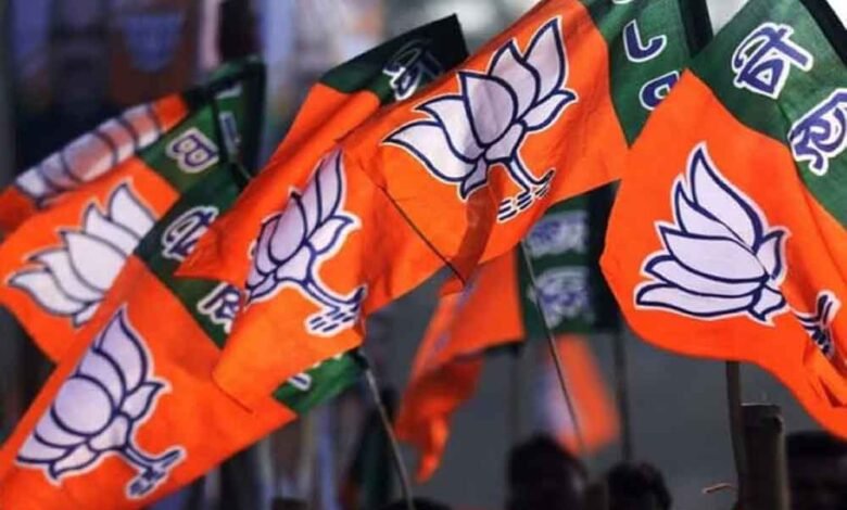 राज्यसभा-चुनाव-के-बाद-बड़ा-बदलाव!-राष्ट्रीय-टीम-में-mp-के-4–5-दिग्गजों-को-मिल-सकती-है-अहम-जिम्मेदारी