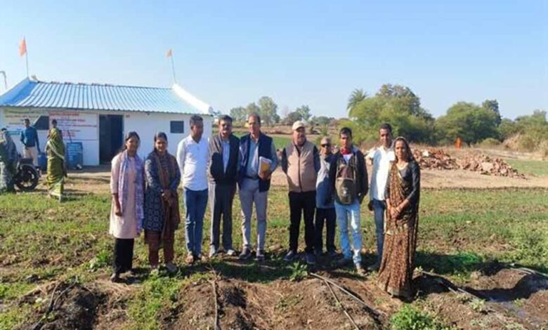 मिट्टी-से-जुड़ा-हौसला-बना-पहचान-पूजा-माहौरे-ने-प्राकृतिक-खेती-से-रची-सफलता-की-मिसाल