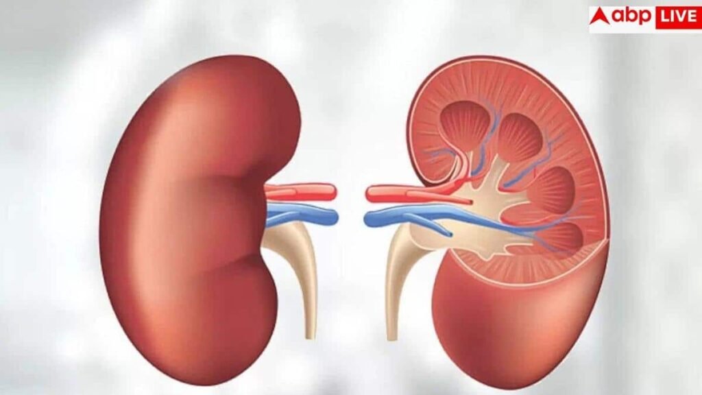 kidney-disease-symptoms:-क्या-ठीक-से-काम-कर-रही-है-आपकी-किडनी,-घर-में-ही-ऐसे-कर-सकते-हैं-चेक?