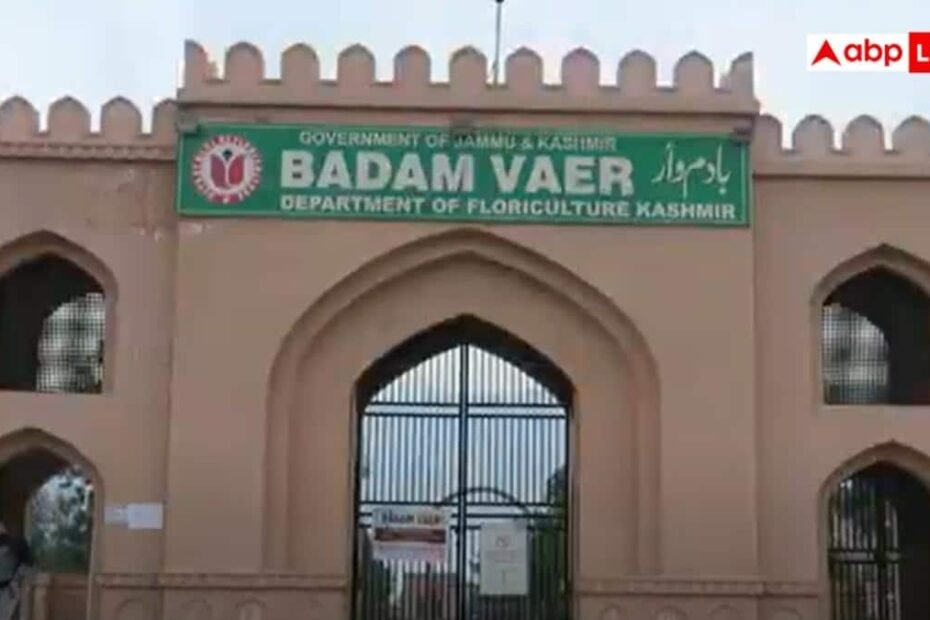 सैलानियों-के-लिए-खुशखबरी,-कश्मीर-में-वसंत-जल्दी-आने-का-संकेत,-घाटी-में-खिल-रहे-बादाम-के-पेड़