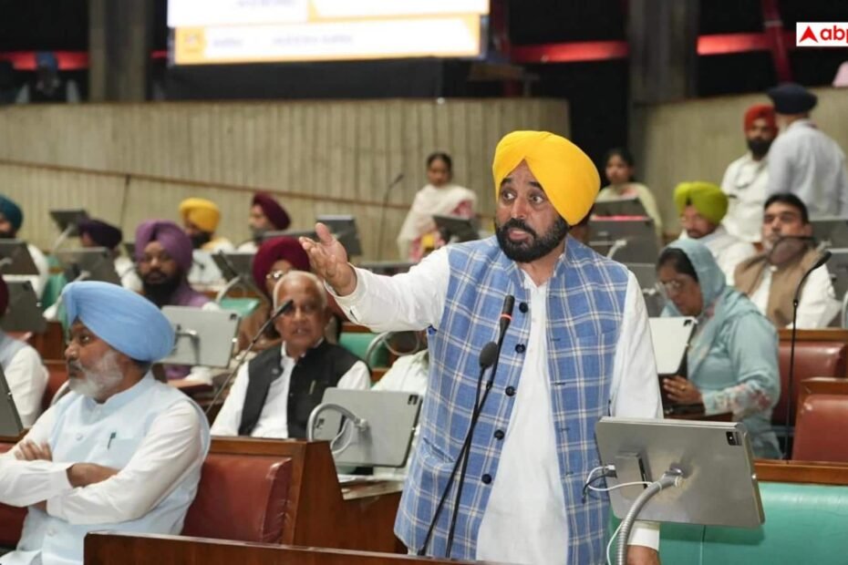 punjab-news:-बजट-में-किए-बड़े-ऐलान,-सीएम-मान-बोले-2027-में-फिर-बनेगी-‘aap’-की-सरकार