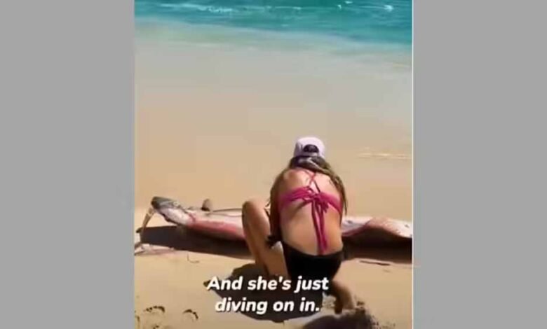 मैक्सिको-के-बीच-पर-दिखीं-‘प्रलय-की-मछलियां’,-महिला-ने-कैमरे-में-कैद-किया-दुर्लभ-दृश्य