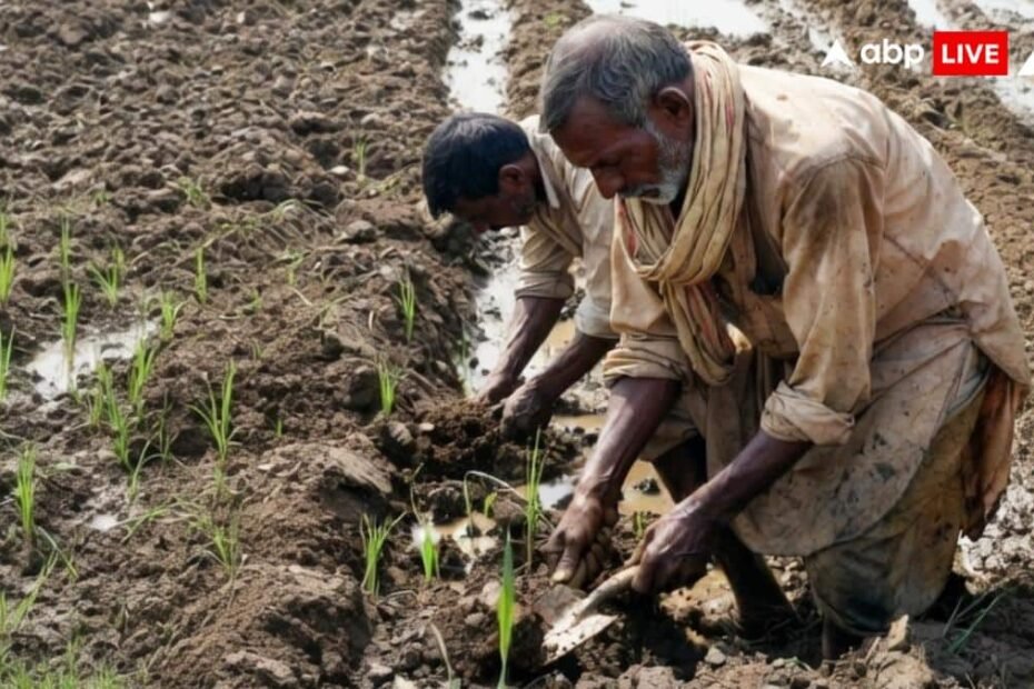 बिहार:-73-लाख-किसानों-के-लिए-खुशखबरी,-इस-तारीख-को-आएगी-pm-किसान-सम्मान-निधि-की-राशि