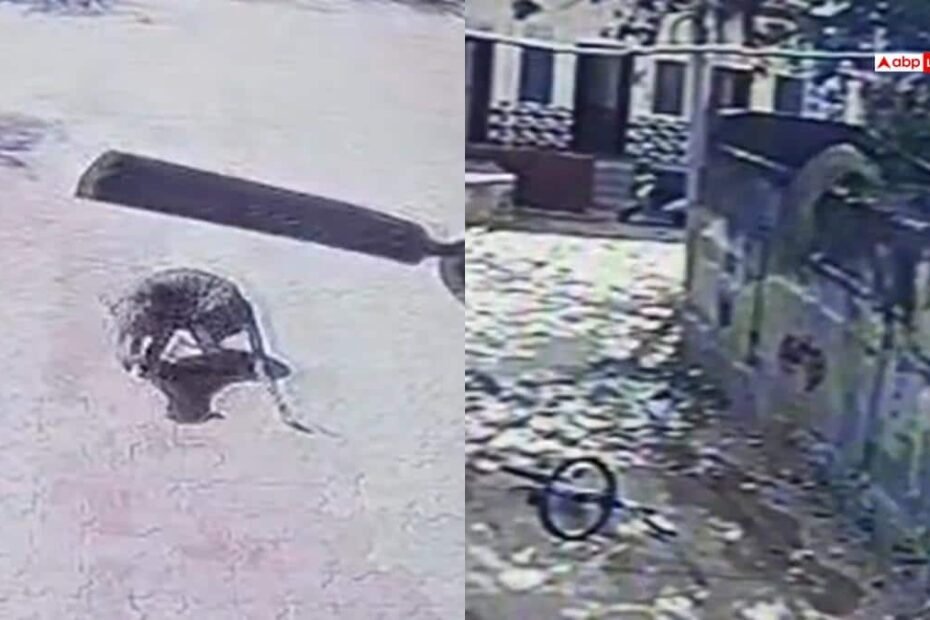 सीकर:-रींगस-में-तेंदुए-का-आतंक,-महिला-पर-किया-जानलेवा-हमला;-जयपुर-से-रेस्क्यू-टीम-रवाना