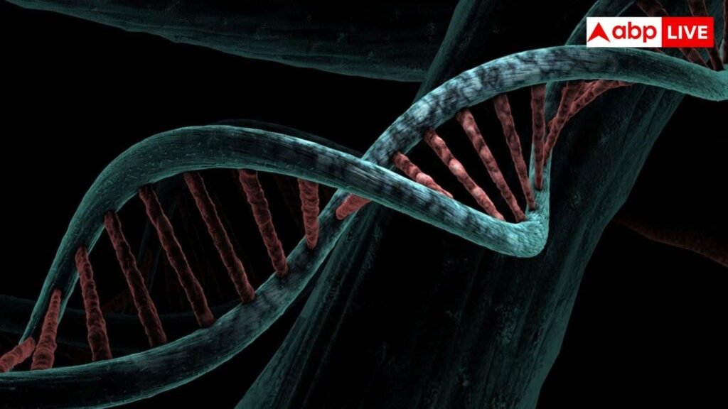 शरीर-में-किस-वजह-से-बढ़ने-लगता-है-यूरिक-एसिड,-इसमें-कैसी-होनी-चाहिए-डाइट