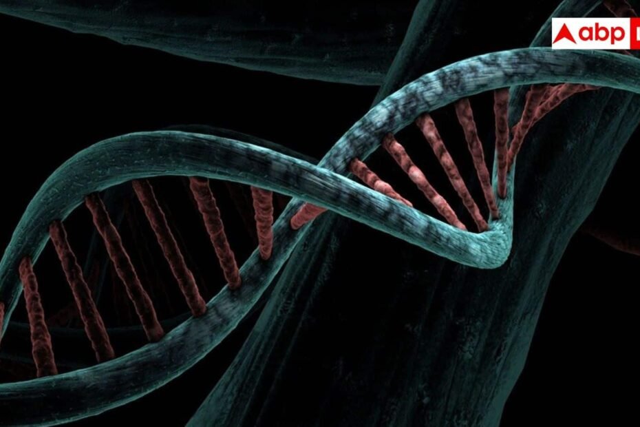 शरीर-में-किस-वजह-से-बढ़ने-लगता-है-यूरिक-एसिड,-इसमें-कैसी-होनी-चाहिए-डाइट