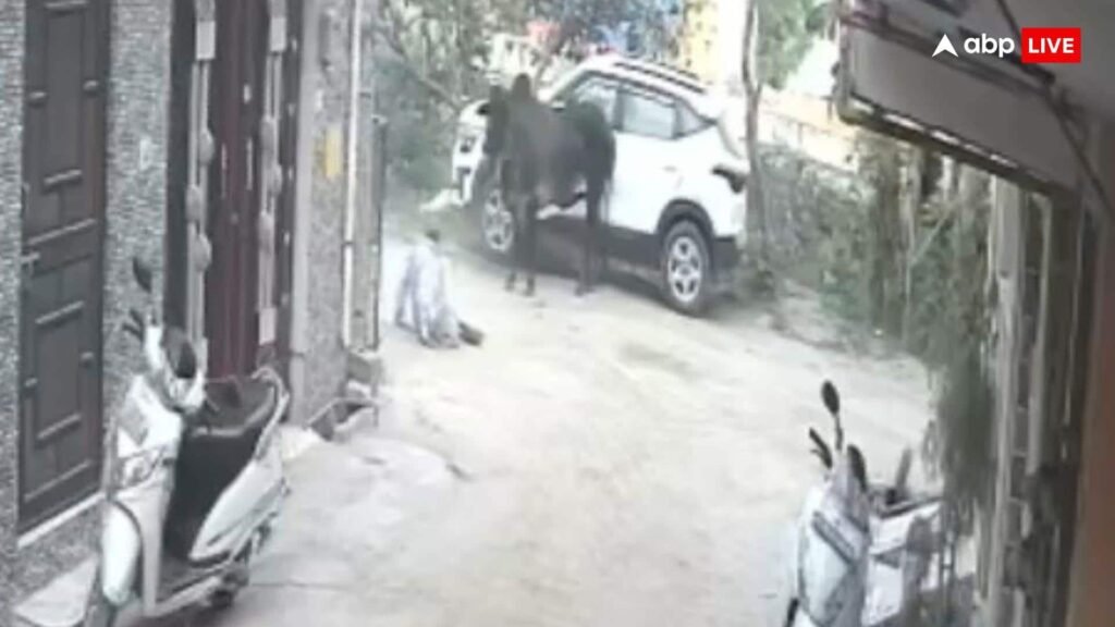 haridwar-news:-आवारा-सांड-ने-सड़क-किनारे-खड़े-75-वर्षीय-बुजुर्ग-को-मारी-टक्कर,-मौके-पर-ही-मौत