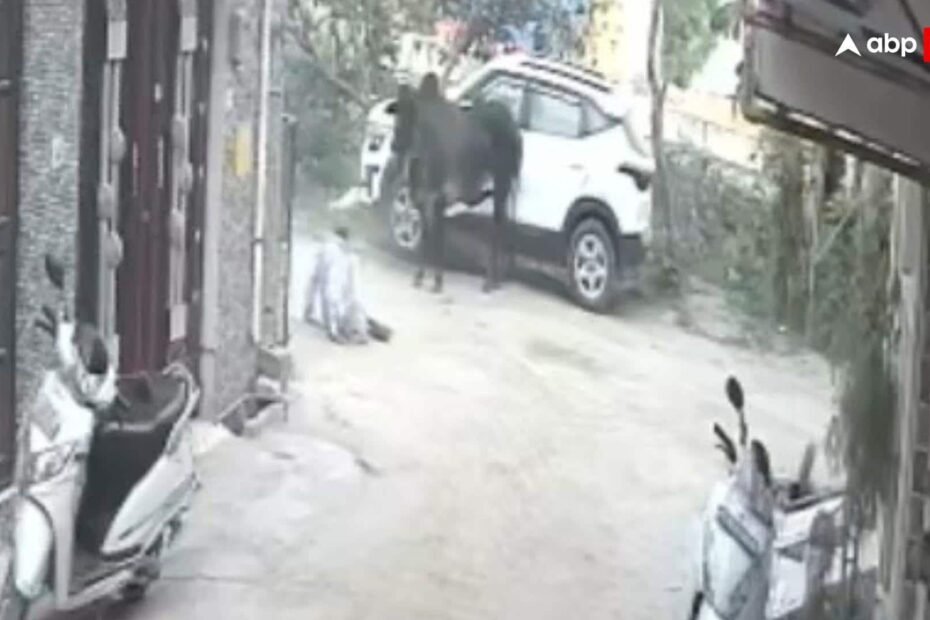 haridwar-news:-आवारा-सांड-ने-सड़क-किनारे-खड़े-75-वर्षीय-बुजुर्ग-को-मारी-टक्कर,-मौके-पर-ही-मौत