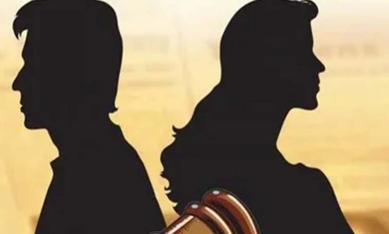 पति-नहीं-चाहिए,-लेकिन-उसके-स्पर्म-से-बच्चा-चाहती-है-महिला,-हाईकोर्ट-भी-हैरान