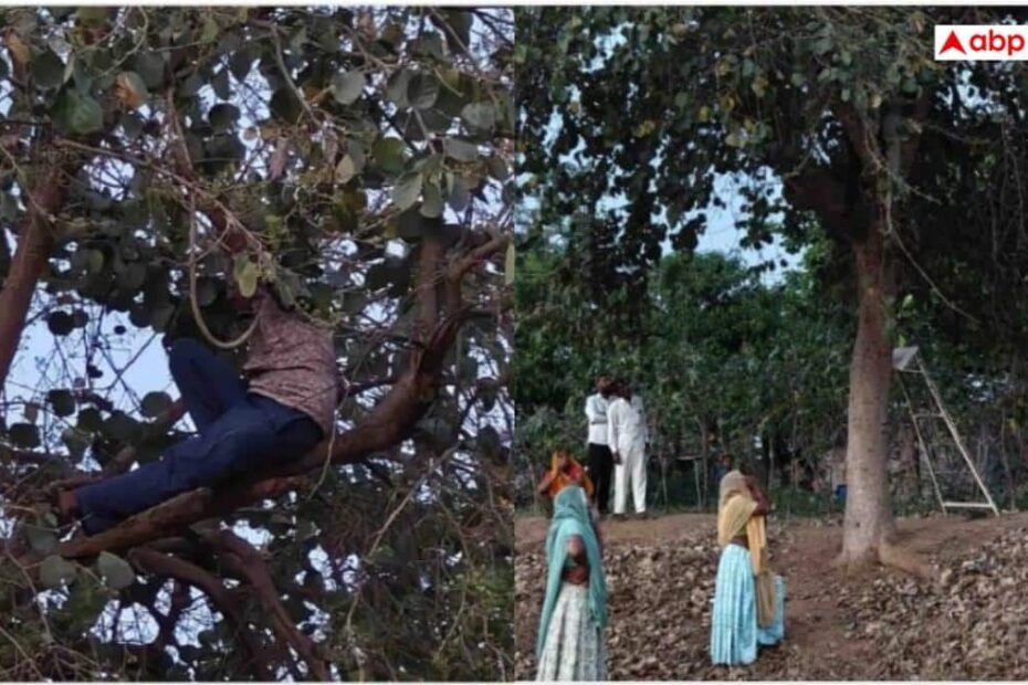 sirohi-news:-पीहर-से-नहीं-लौटी-पत्नी-तो-गुस्से-में-पेड़-पर-चढ़-गया-युवक,-19-घंटे-चला-हाई-वोल्टेज-ड्रामा