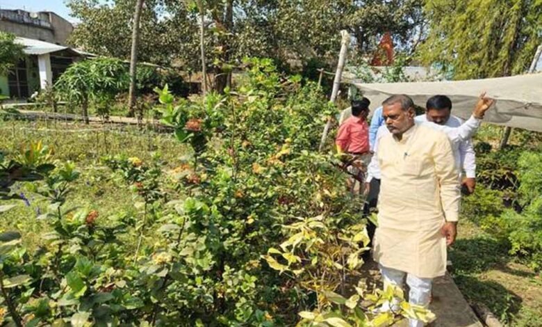 शासकीय-नर्सरियों-को-बनाया-जायेगा-आदर्श-नर्सरी-:-मंत्री-कुशवाह