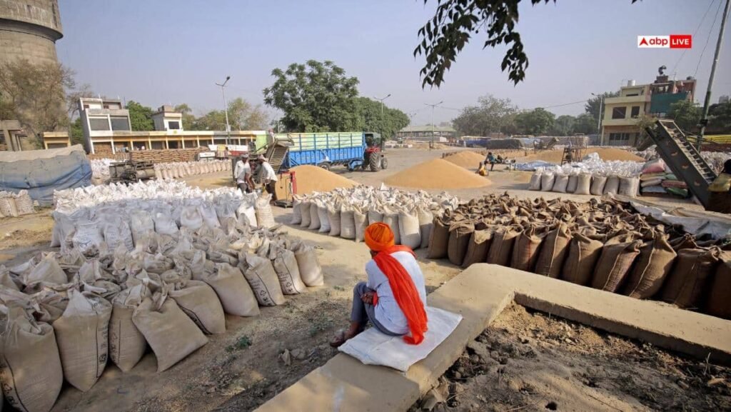 mp-से-बासमती-का-निर्यात-ठप,-बीच-समुद्र-में-फंसा-चावल,-किसानों-व्यापारियों-की-बढ़ी-चिंता