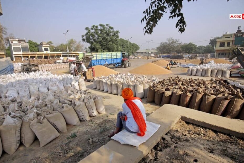 mp-से-बासमती-का-निर्यात-ठप,-बीच-समुद्र-में-फंसा-चावल,-किसानों-व्यापारियों-की-बढ़ी-चिंता