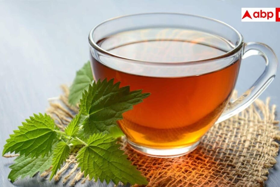 खाना-खाते-ही-होती-है-पेट-फूलने-की-समस्या?-एक्सपर्ट-ने-बताईं-6-हर्बल-टी,-जिनसे-तुरंत-मिलेगा-आराम