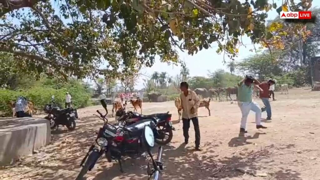 bhilwara-news:-मधुमक्खियों-का-डबल-अटैक,-अंतिम-संस्कार-के-दौरान-फिर-हमला,-2-की-मौत,-50-घायल