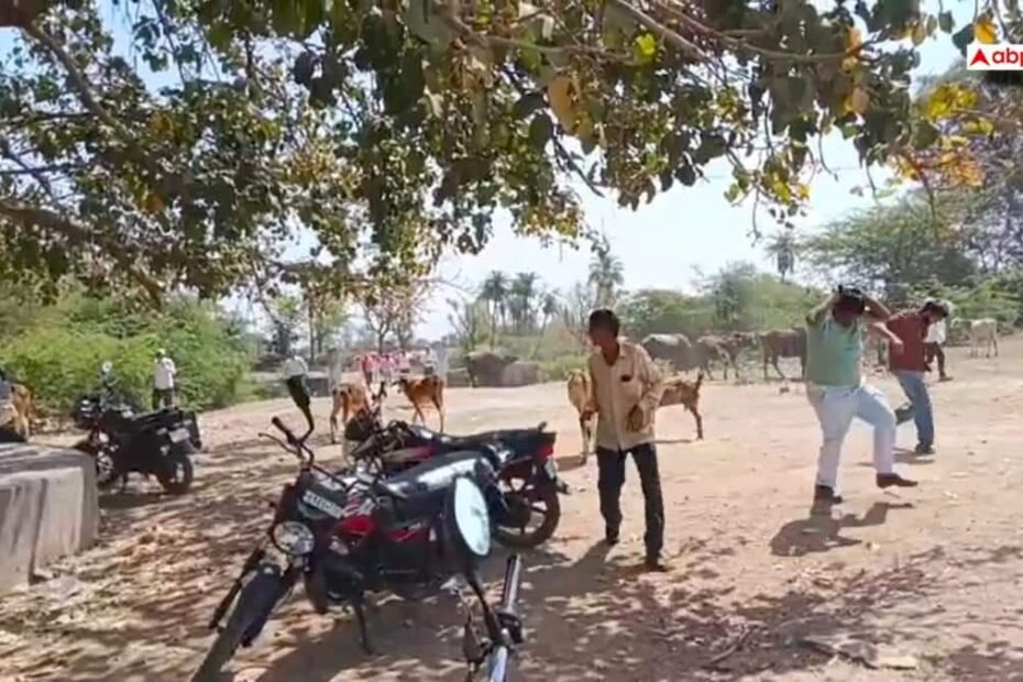 bhilwara-news:-मधुमक्खियों-का-डबल-अटैक,-अंतिम-संस्कार-के-दौरान-फिर-हमला,-2-की-मौत,-50-घायल