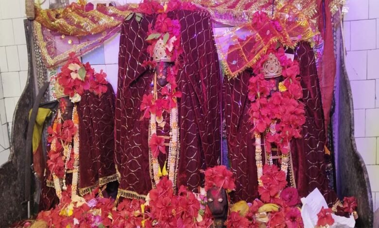 मां-बिरासिनी-धाम-बिलासपुर-में-मातारानी-के-दर्शन-के-लिए-दर्शनार्थियों-की-लगी-भीड़