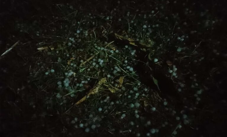 जरही-में-कुदरत-का-कहर,-आंधी-तूफान-वा-बारिश-के-साथ-गिरे-ओले