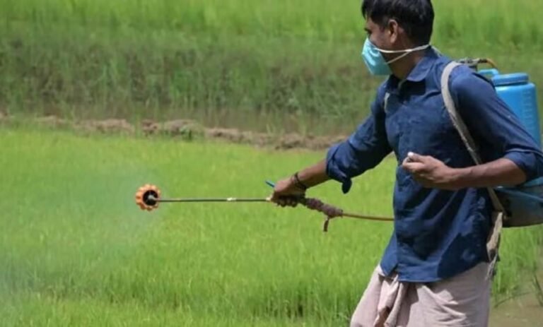 युद्ध-का-सीधा-असर-खेती-पर:-कीटनाशक-30%-महंगे,-किसानों-की-लागत-बढ़ने-की-आशंका