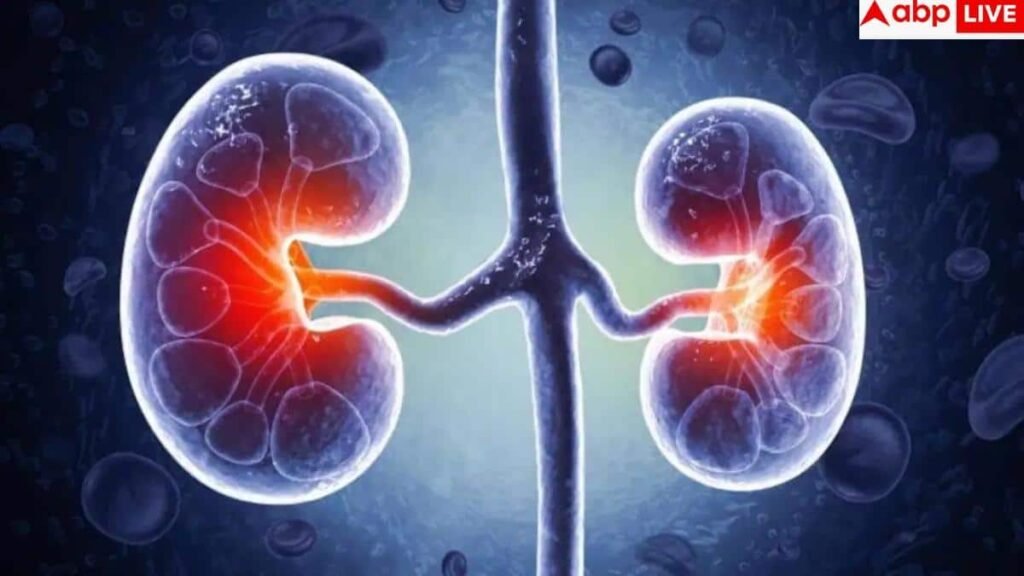 kidney-disease-symptoms:-किडनी-की-बीमारी-है-‘साइलेंट-किलर’,-डॉक्टर-से-जानें-वे-शुरुआती-लक्षण-जो-बचा-सकते-हैं-आपकी-जान