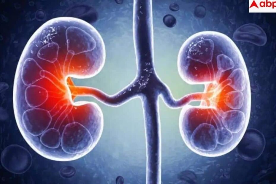 kidney-disease-symptoms:-किडनी-की-बीमारी-है-‘साइलेंट-किलर’,-डॉक्टर-से-जानें-वे-शुरुआती-लक्षण-जो-बचा-सकते-हैं-आपकी-जान
