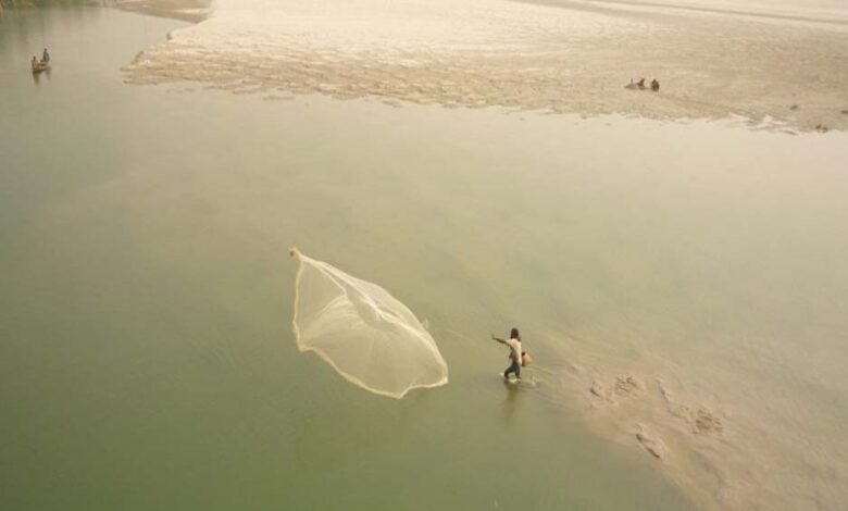 गंगा-नदी-बेसिन-ने-1300-साल-में-सबसे-अधिक-सूखा-देखा,-भयावह-स्थिति