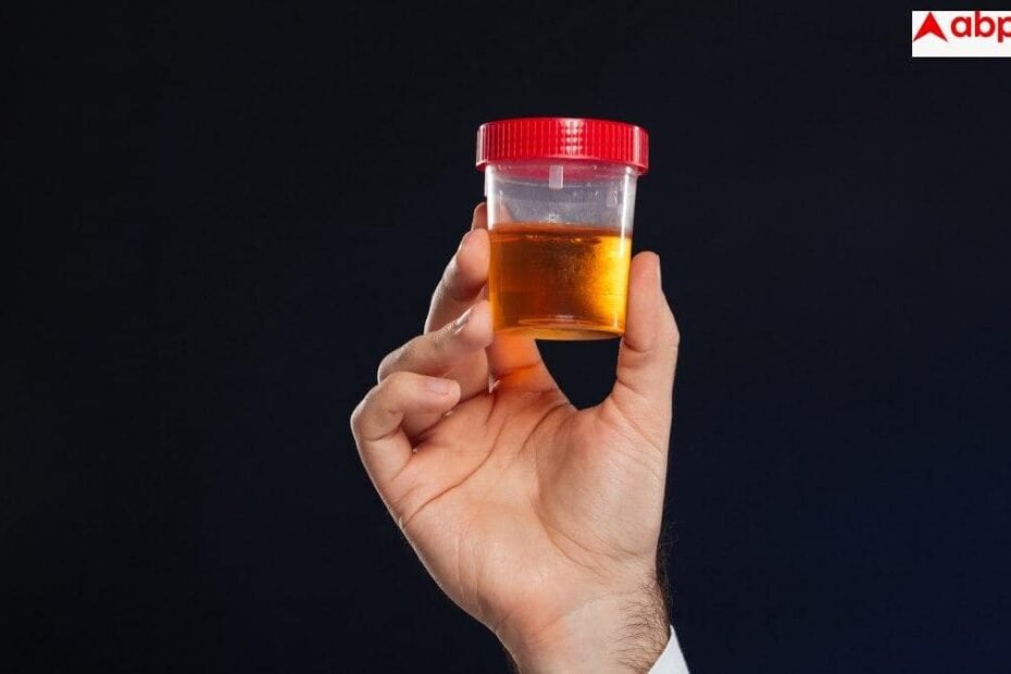 blood-in-urine:-पेशाब-में-आ-रहा-है-खून-तो-हो-सकता-है-कैंसर,-तुरंत-करा-लें-ये-टेस्ट
