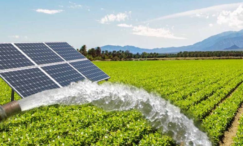mp-में-सोलर-पंप-योजना-अधूरी:-52-हजार-का-लक्ष्य,-40,662-पर-ही-अटकी-रफ्तार