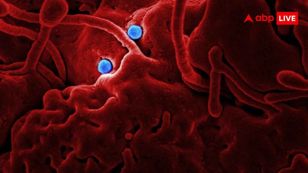 new-covid-variant:-75-म्यूटेशन-के-साथ-आया-कोरोना-का-नया-वैरिएंट,-जानें-इससे-डरने-की-जरूरत-कितनी?