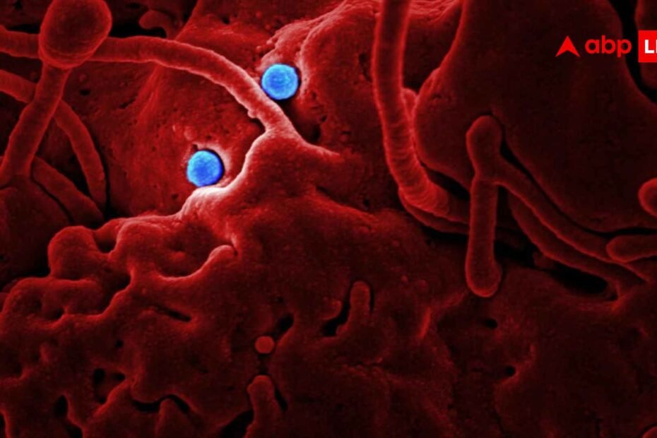 new-covid-variant:-75-म्यूटेशन-के-साथ-आया-कोरोना-का-नया-वैरिएंट,-जानें-इससे-डरने-की-जरूरत-कितनी?