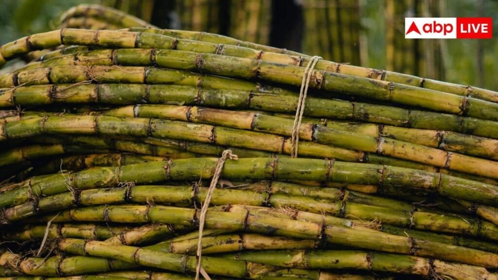 क्या-शुगर-के-मरीज-पी-सकते-हैं-गन्ने-का-जूस,-जानें-क्या-कहते-हैं-एक्सपर्ट?