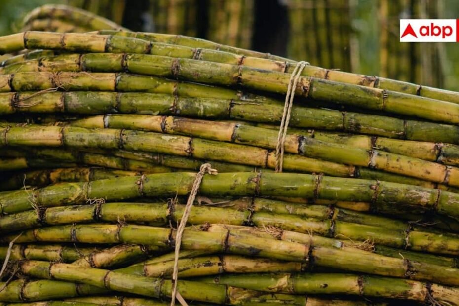 क्या-शुगर-के-मरीज-पी-सकते-हैं-गन्ने-का-जूस,-जानें-क्या-कहते-हैं-एक्सपर्ट?