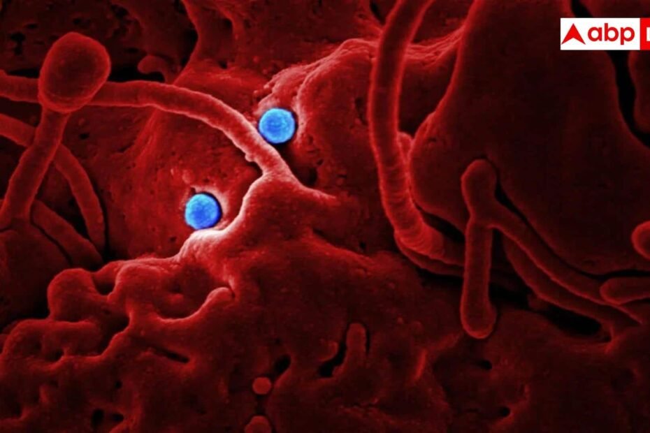 immunotherapy-cancer-treatment:-क्या-कैंसर-से-खुद-लड़-सकता-है-हमारा-शरीर,-जानें-कैसे-काम-करती-है-इम्यूनोथेरेपी-और-कब-असरदार?