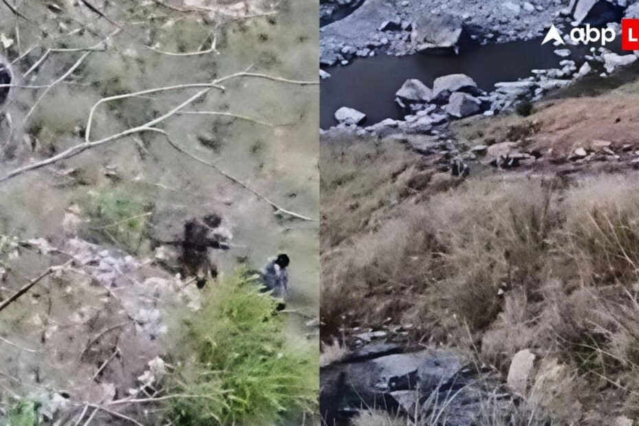 himachal-news:-nh-5-पर-दर्दनाक-हादसा,-शराब-के-बाद-झगड़ा-बना-मौत-की-वजह,-120-फीट-गहरी-खाई-में-गिरे-युवक