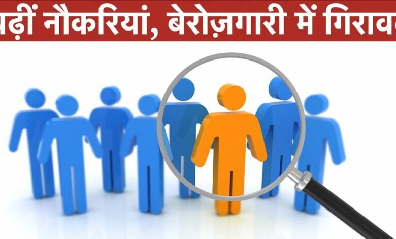 सर्वे-2025:-बेरोजगारी-में-गिरावट,-61.3-करोड़-लोग-हुए-रोजगारयुक्त;-महिलाओं-का-वेतन-वृद्धि-पुरुषों-से-अधिक