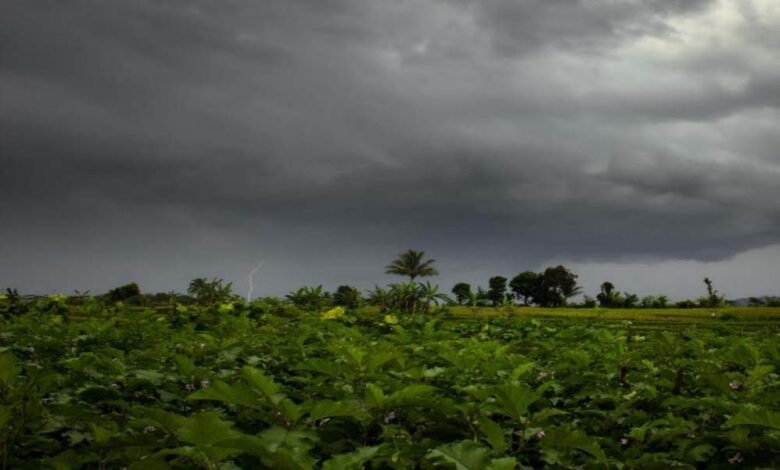 mp-में-5-अप्रैल-तक-ओले-और-आंधी-बारिश-की-चेतावनी,-भोपाल-इंदौर-समेत-30-जिलों-में-बारिश-का-अलर्ट